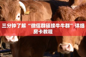 三分钟了解“微信群链接牛牛群”详细房卡教程