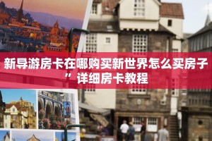 新导游房卡在哪购买新世界怎么买房子”详细房卡教程