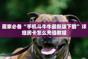 哪里有卖微信炸金花房卡新天道大厅买房卡”详细房卡怎么充值教程