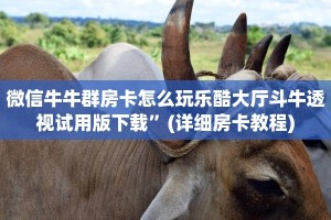微信牛牛群房卡怎么玩乐酷大厅斗牛透视试用版下载”(详细房卡教程)