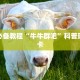 炸金花房卡链接在哪里买战皇大厅金花房卡”房卡详细充值