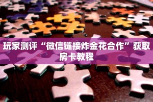 玩家测评“微信链接炸金花合作”获取房卡教程