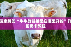 玩家解答“牛牛群链接是在哪里开的”详细房卡教程