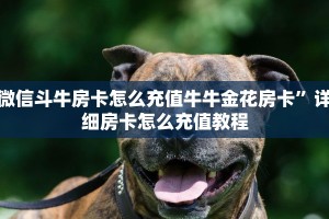 微信斗牛房卡怎么充值牛牛金花房卡”详细房卡怎么充值教程