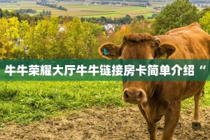 牛牛荣耀大厅牛牛链接房卡简单介绍“