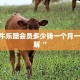 新518互游在哪买房卡微信玩金花房卡在哪买靠谱讲解“