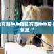 新518互游牛牛群新西游牛牛房卡重要信息“