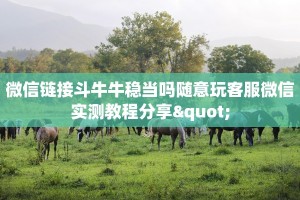 微信链接斗牛牛稳当吗随意玩客服微信实测教程分享"