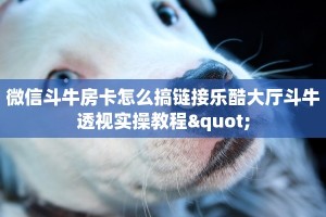 新猴王房卡大厅乐酷大厅在哪下载独家解读“