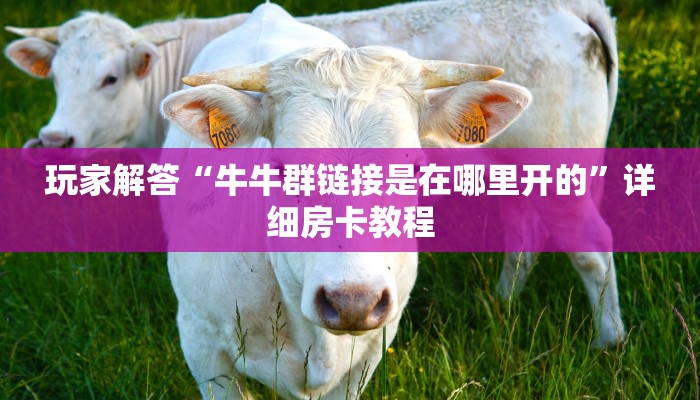 盘点一下“乐酷众娱房卡批发”获取开挂方式