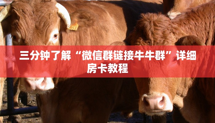 盘点那些“微信朋友扎金花链接”获取房卡教程