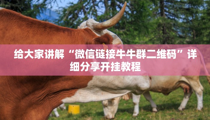 大圣大厅房卡官方客服新鸿狐大厅怎么买房卡玩家测评“