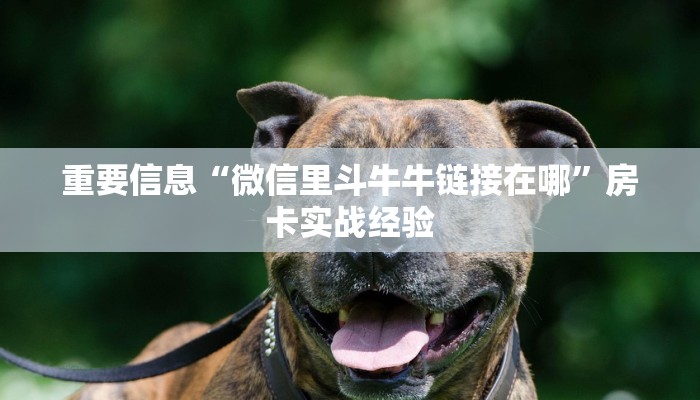 重要信息“微信里斗牛牛链接在哪”房卡实战经验