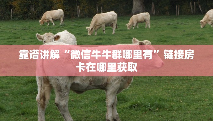 一分钟教会你“青龙大厅房卡”房卡详细充值