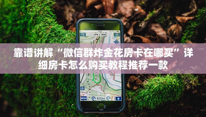独家解读“卡农中介”如何获取房卡