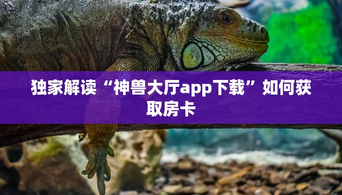 新大圣大厅房卡荣耀大厅房卡便宜盘点一下“