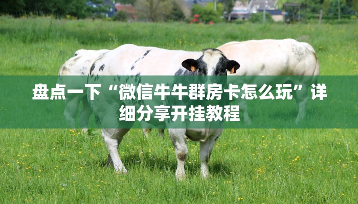 盘点一下“微信牛牛群房卡怎么玩”详细分享开挂教程