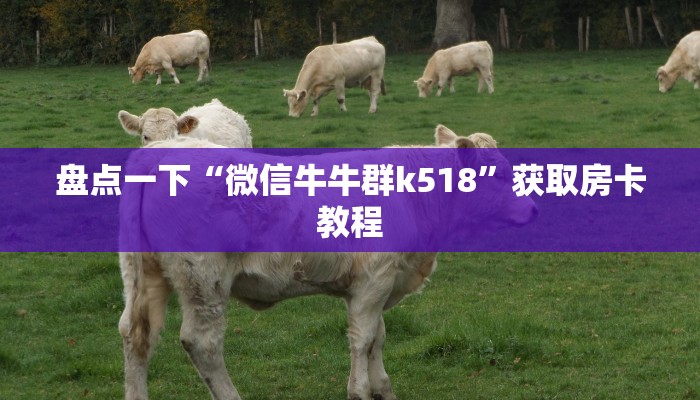 微信牛牛房卡链接月亮大厅怎么买房卡”详细房卡怎么购买教程