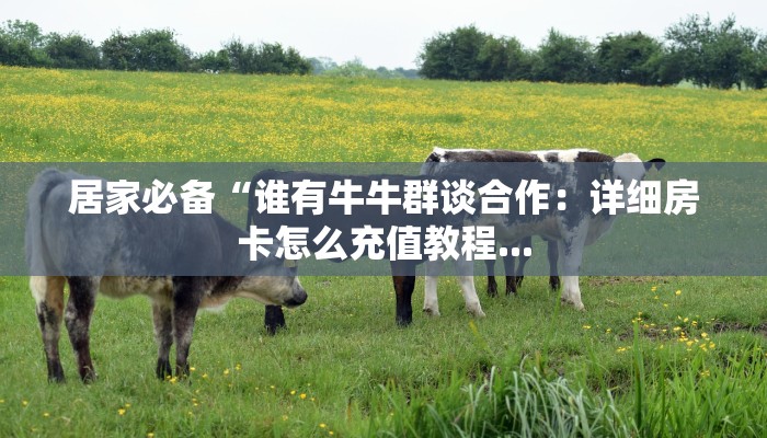 新导游房卡去哪里买新星游大厅如何购买房卡一分钟教会你“