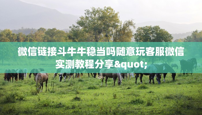 微信链接斗牛牛稳当吗随意玩客服微信实测教程分享"