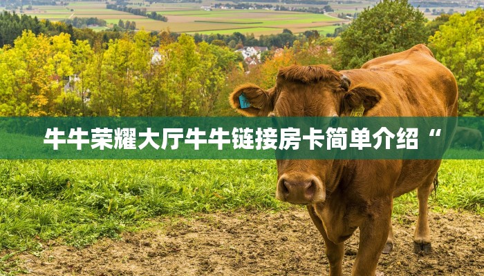 牛牛荣耀大厅牛牛链接房卡简单介绍“