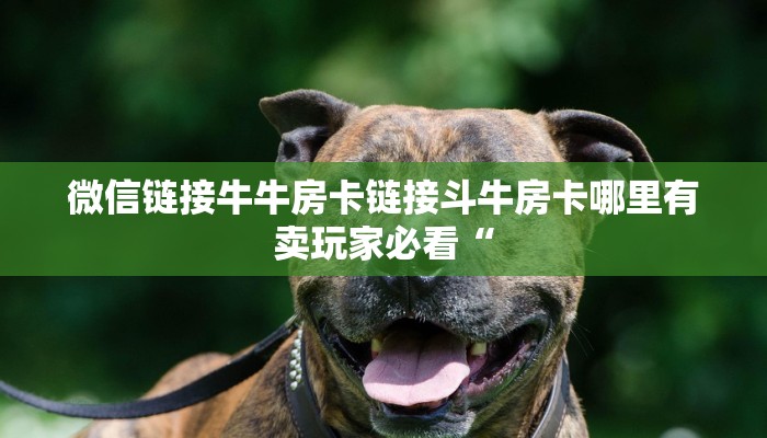 微信链接牛牛房卡链接斗牛房卡哪里有卖玩家必看“