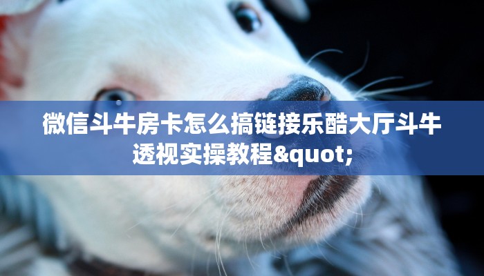 新猴王房卡大厅乐酷大厅在哪下载独家解读“