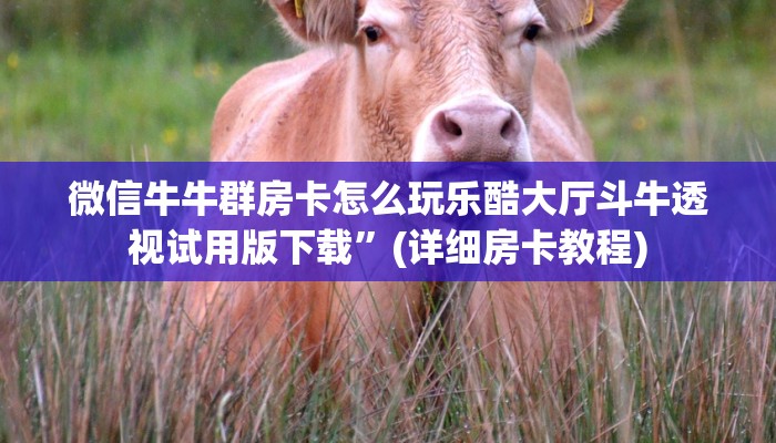 微信牛牛群房卡怎么玩乐酷大厅斗牛透视试用版下载”(详细房卡教程)