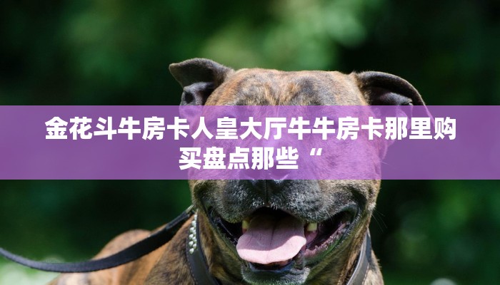 金花斗牛房卡人皇大厅牛牛房卡那里购买盘点那些“