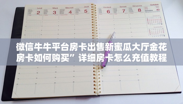 道游房卡哪里买新西游客服分享一下“