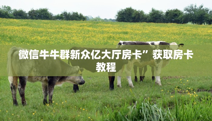 微信牛牛群新众亿大厅房卡”获取房卡教程