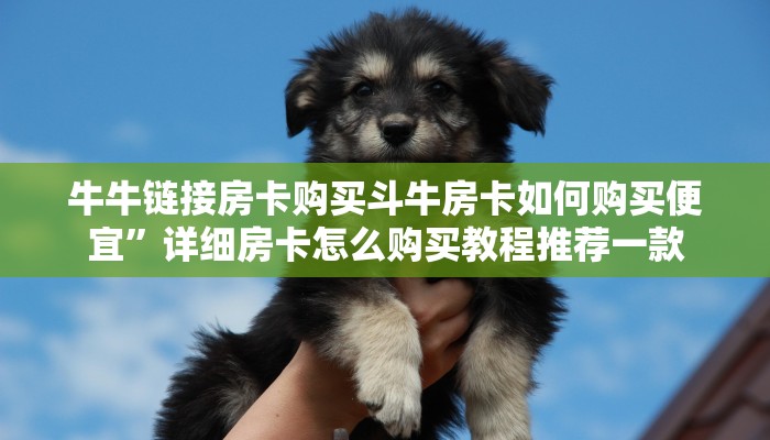牛牛链接房卡购买斗牛房卡如何购买便宜”详细房卡怎么购买教程推荐一款