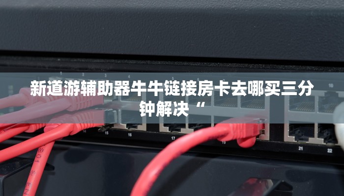 新道游辅助器牛牛链接房卡去哪买三分钟解决“