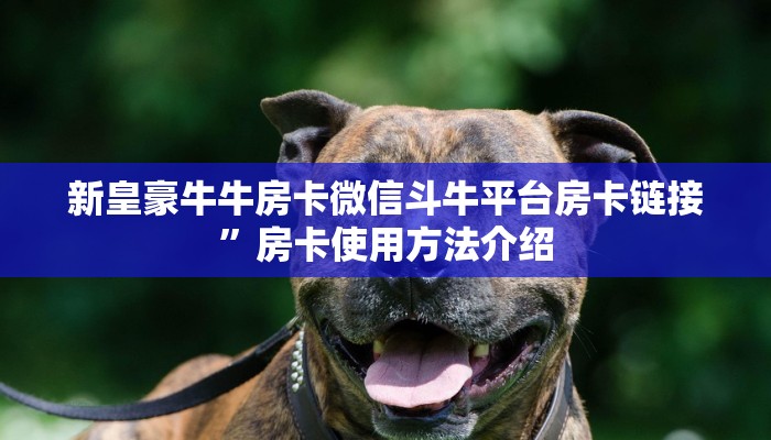 新皇豪牛牛房卡微信斗牛平台房卡链接”房卡使用方法介绍