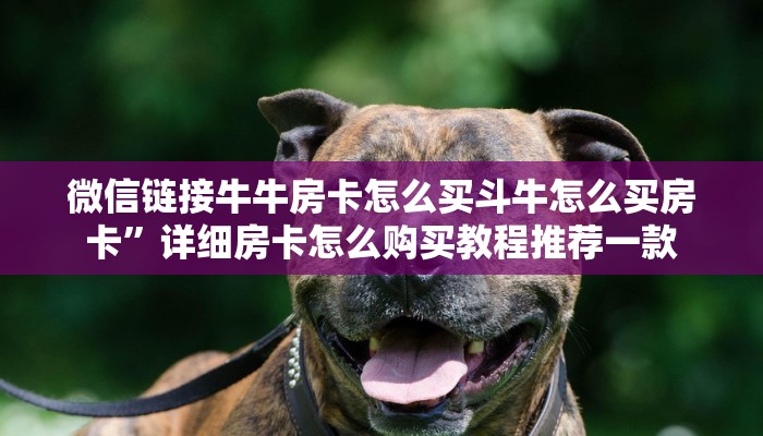微信链接牛牛房卡怎么买斗牛怎么买房卡”详细房卡怎么购买教程推荐一款