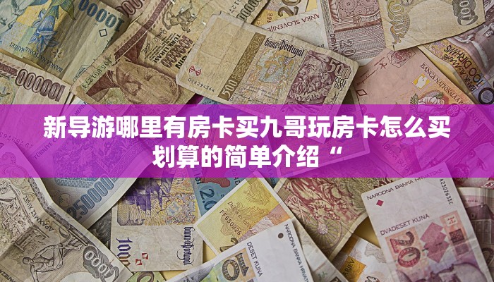 新导游哪里有房卡买九哥玩房卡怎么买划算的简单介绍“