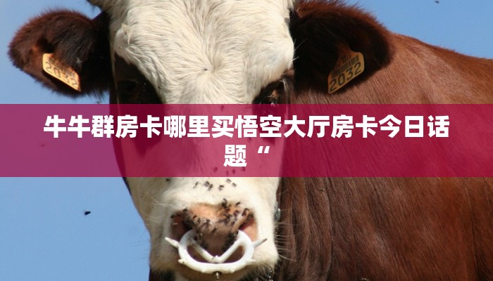 炸金花大厅房卡怎么买随意玩俱乐部加盟”购买房卡介绍