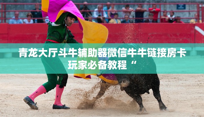 青龙大厅斗牛辅助器微信牛牛链接房卡玩家必备教程“