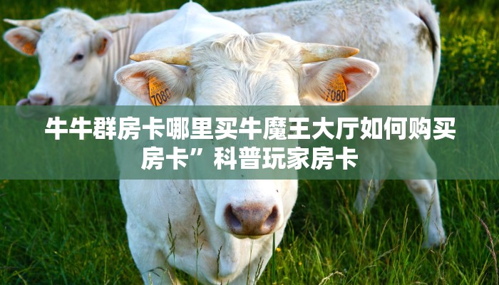 牛牛群房卡哪里买牛魔王大厅如何购买房卡”科普玩家房卡